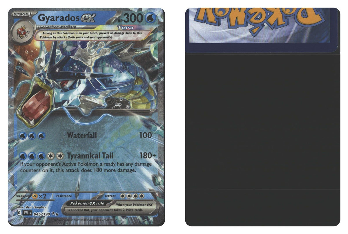 Front + Back scan