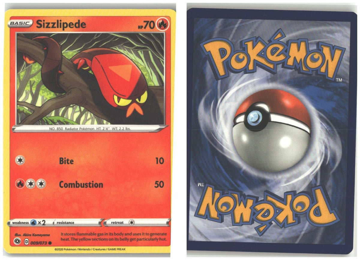 Front + Back scan
