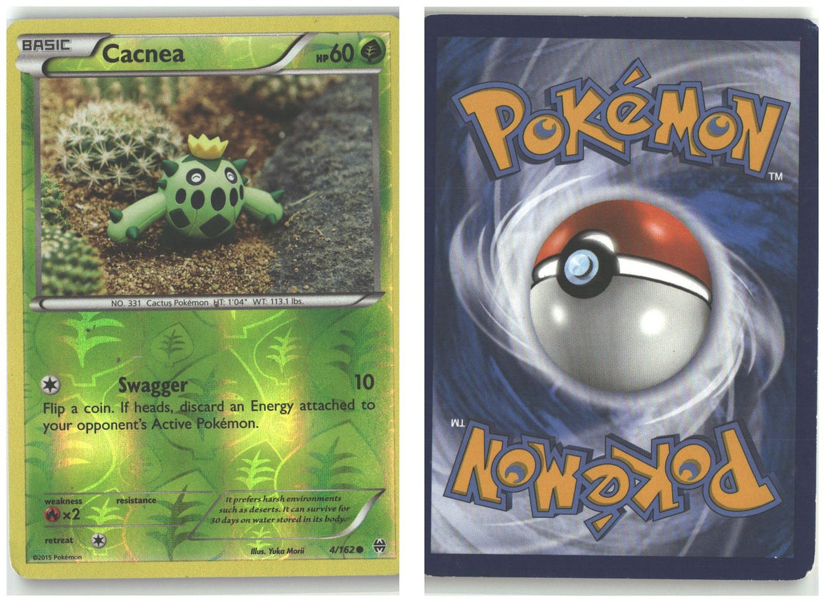 Front + Back scan