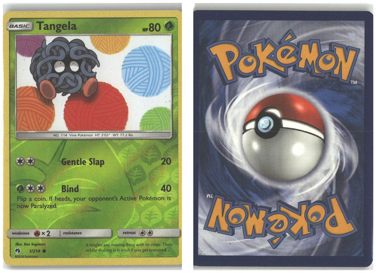 Front + Back scan