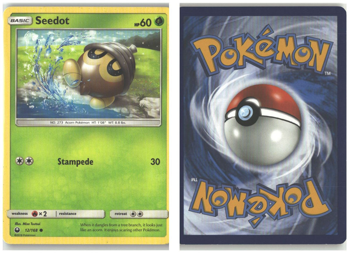 Front + Back scan