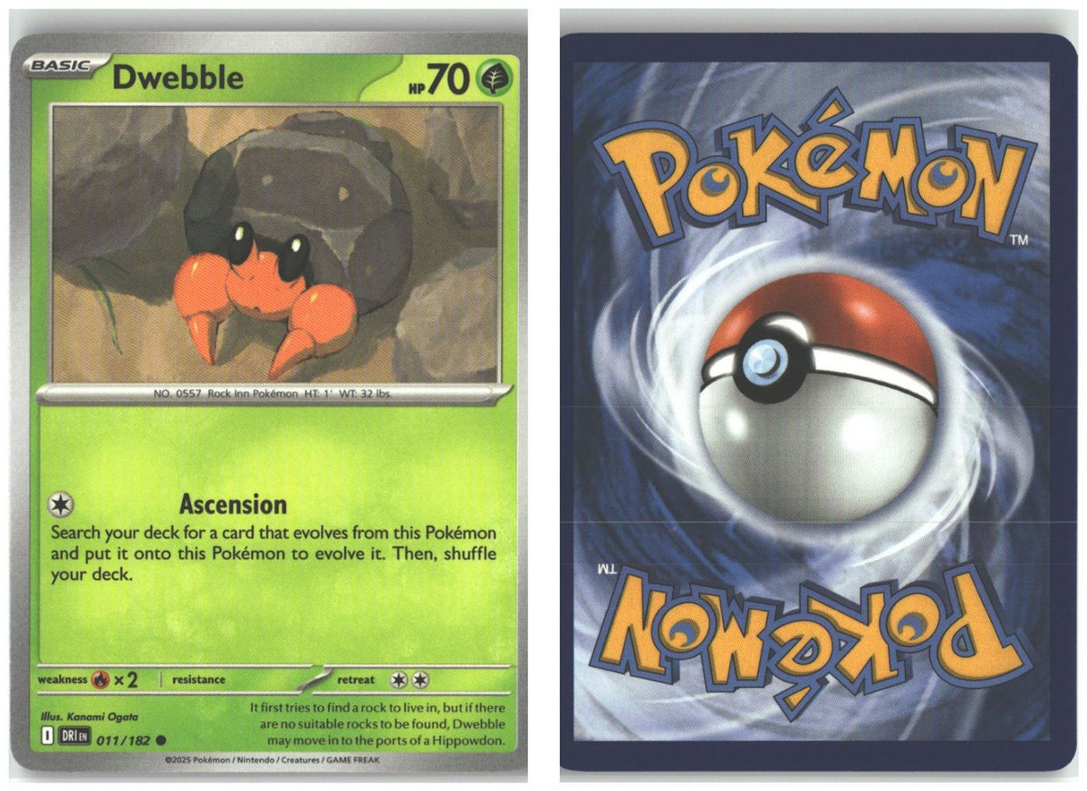 Front + Back scan