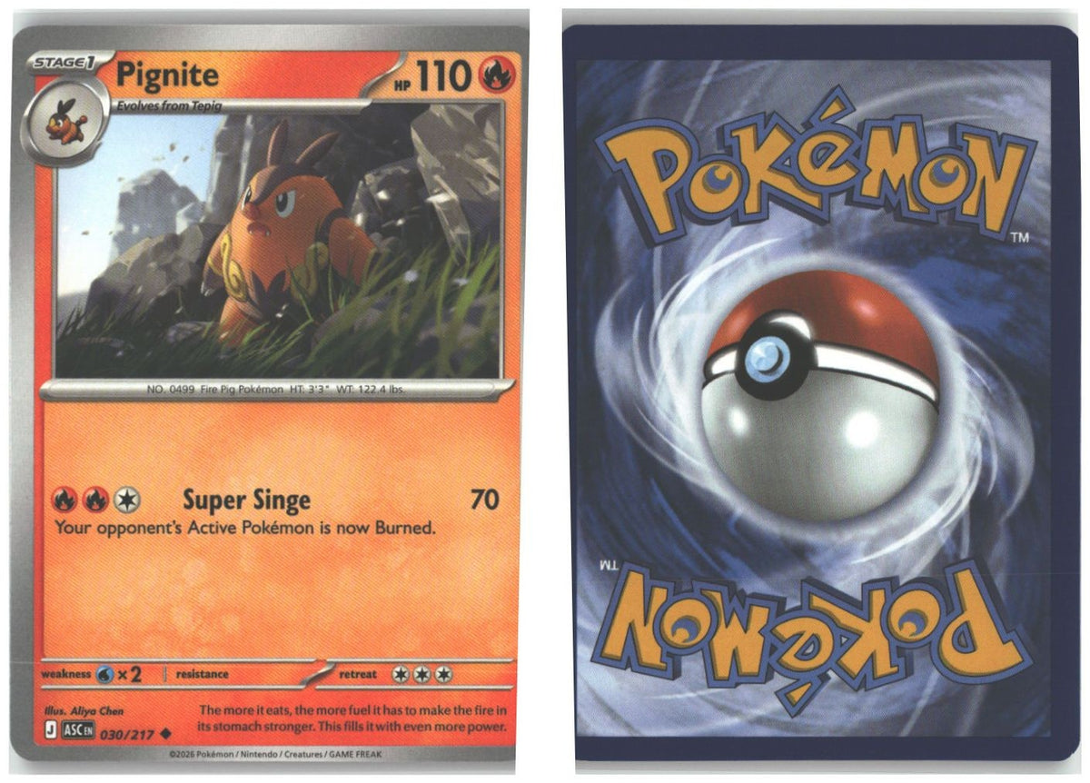 Front + Back scan