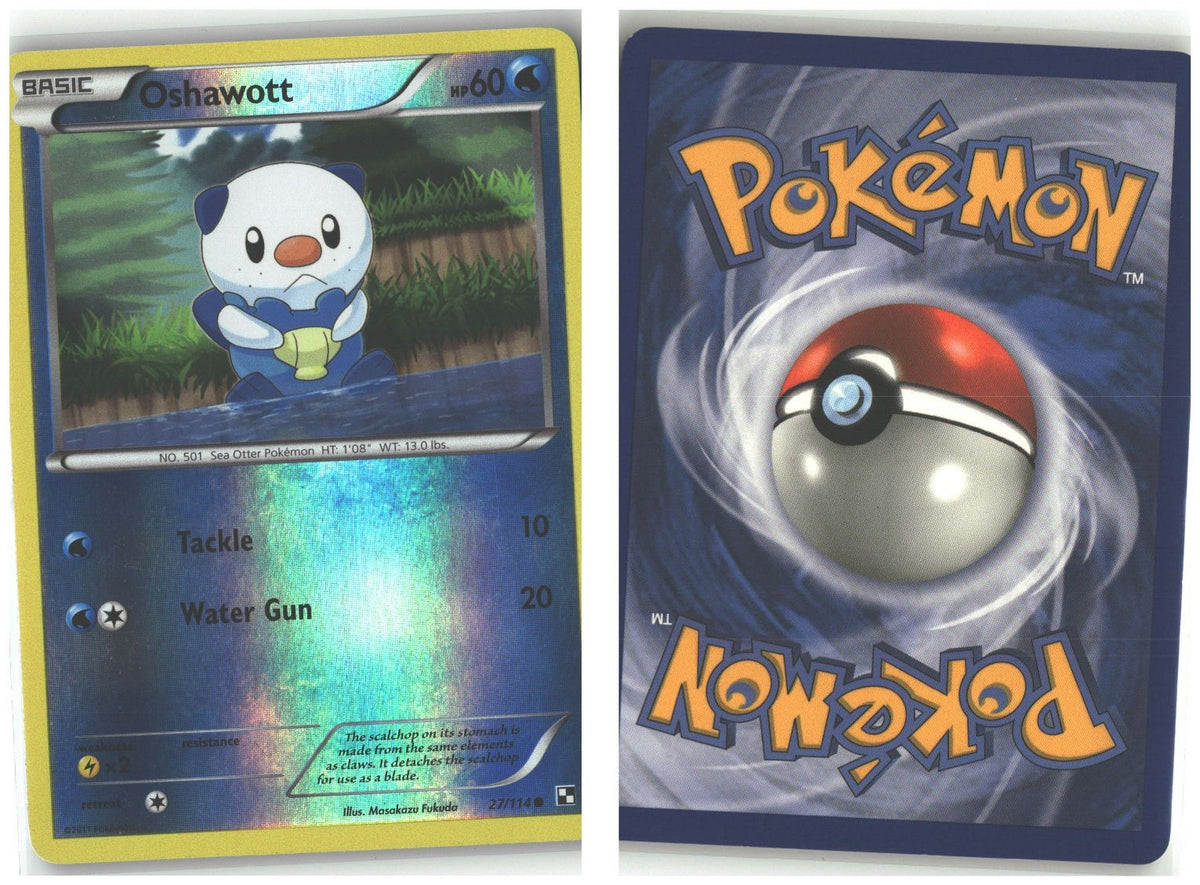 Front + Back scan