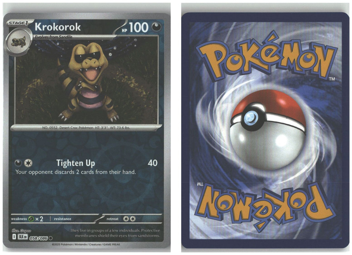 Front + Back scan