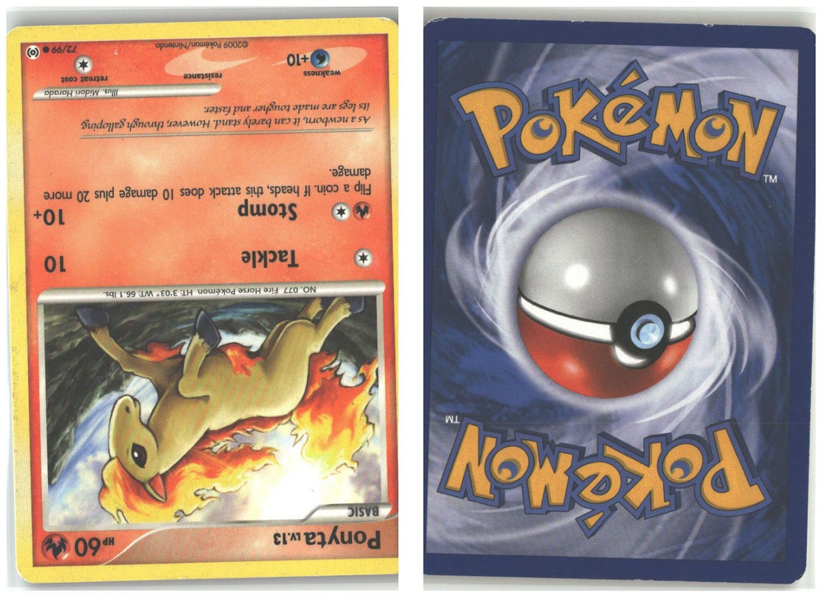 Front + Back scan