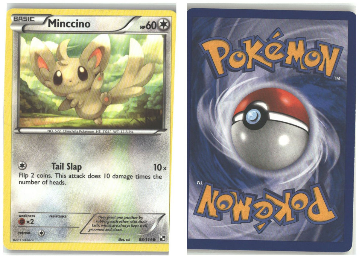 Front + Back scan