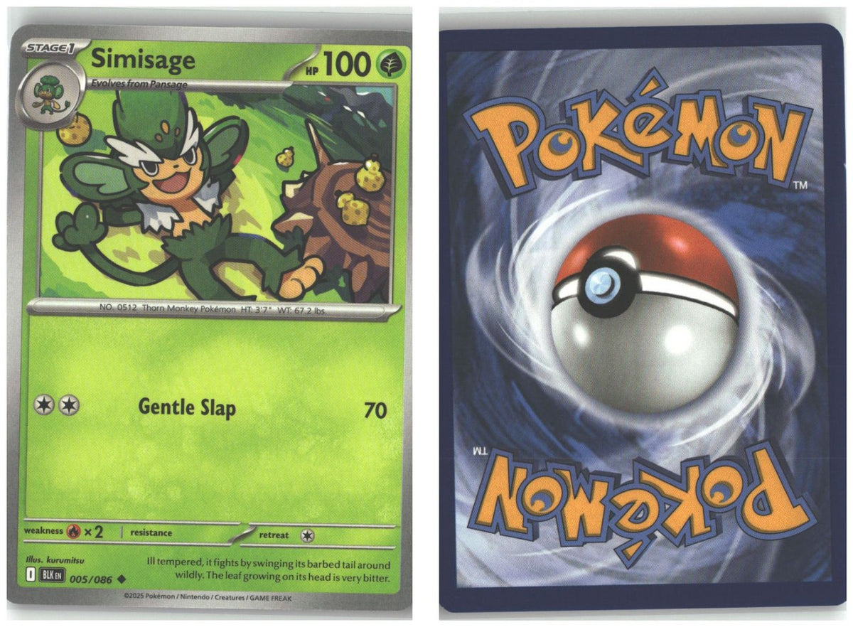Front + Back scan