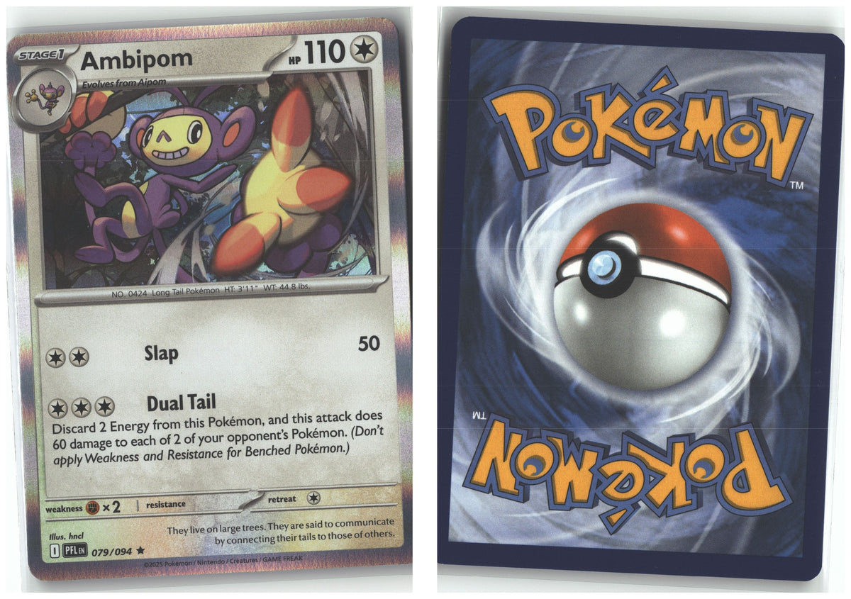 Front + Back scan