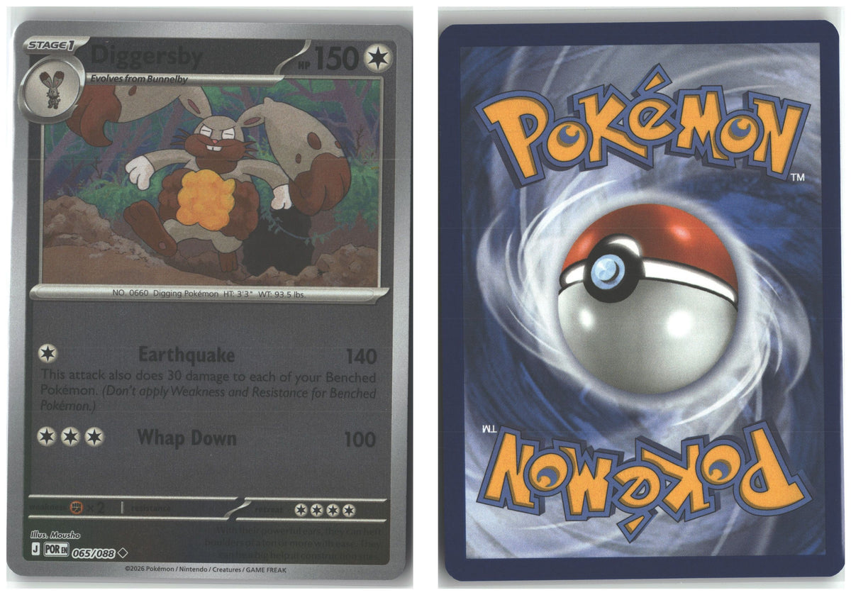 Front + Back scan
