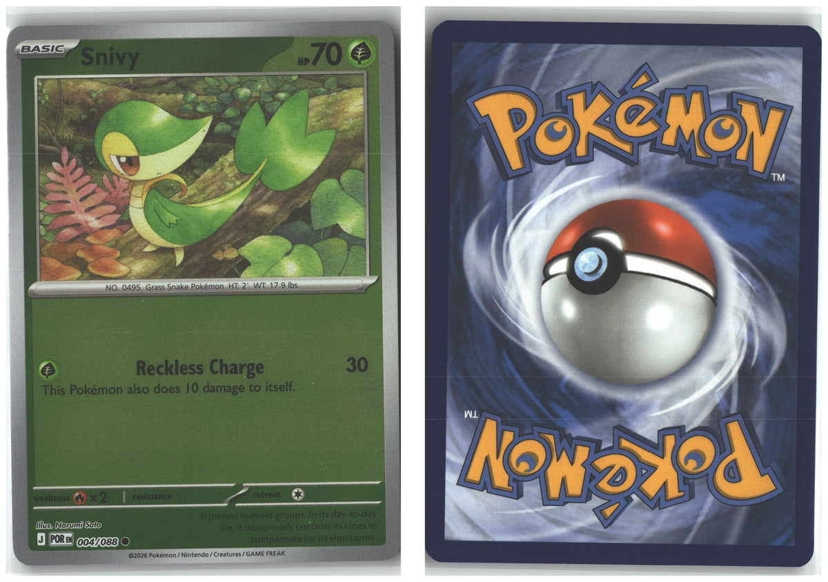Front + Back scan