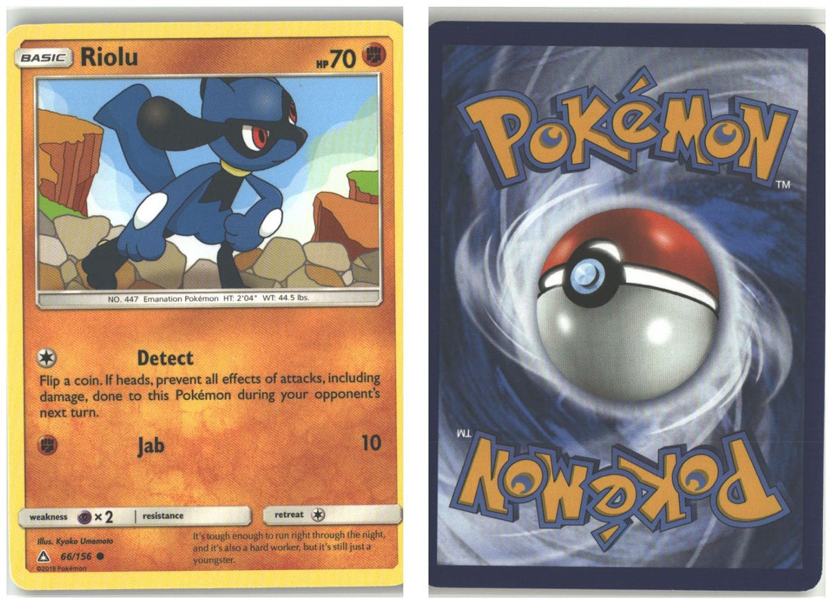 Front + Back scan