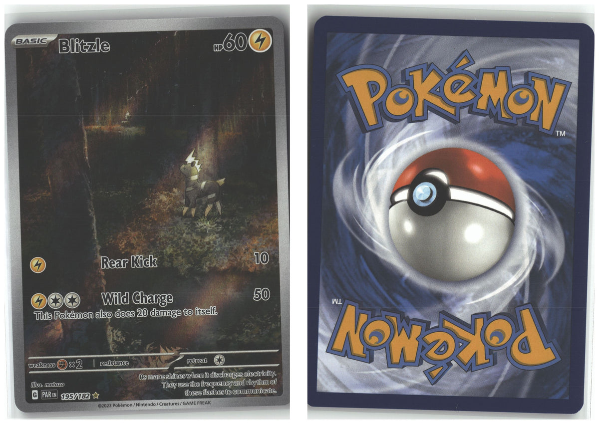 Front + Back scan