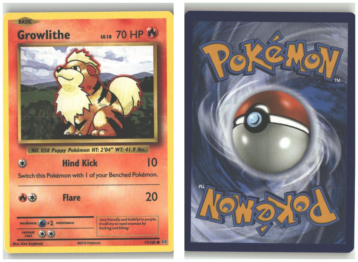 Front + Back scan