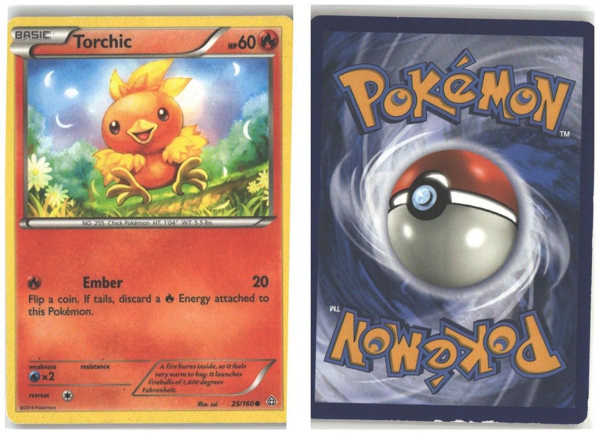 Front + Back scan
