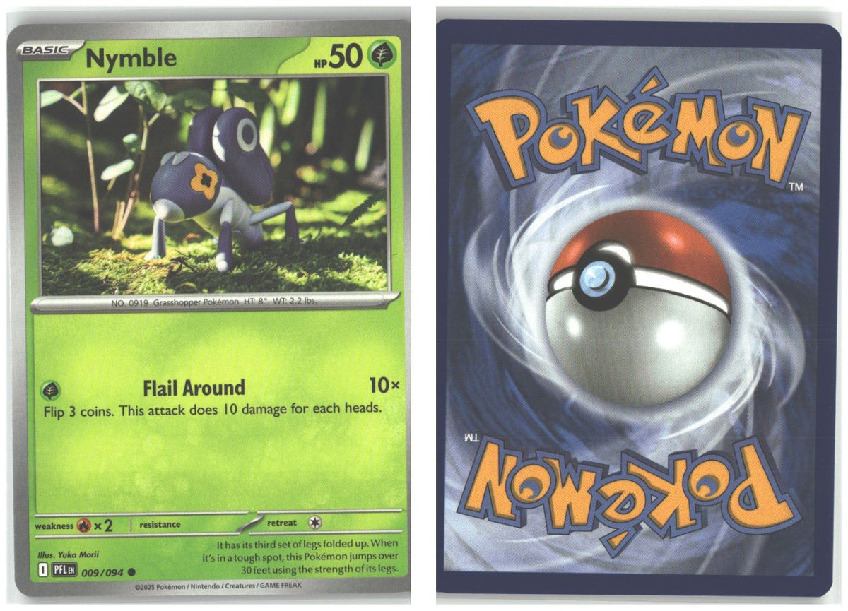 Front + Back scan