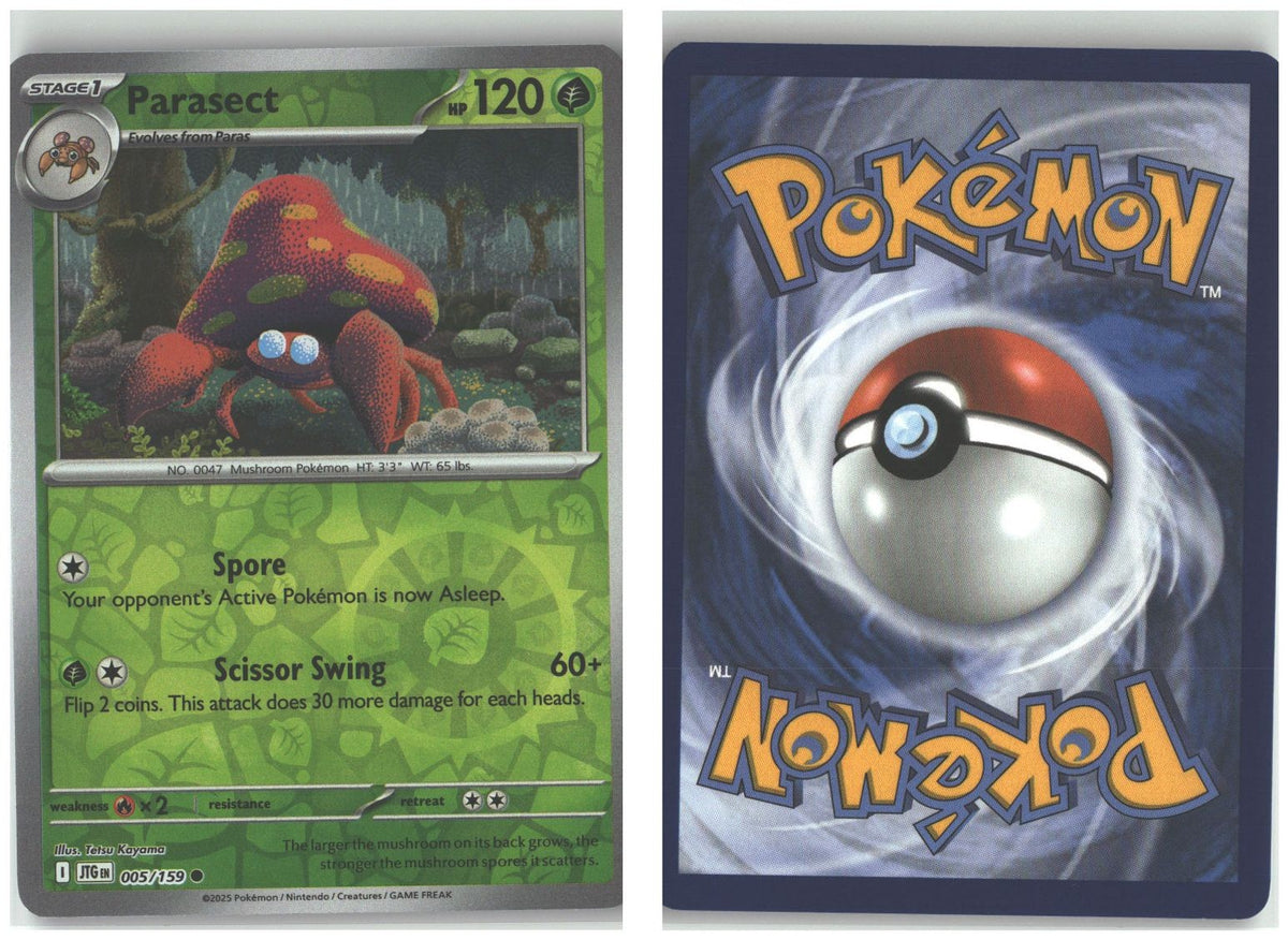 Front + Back scan