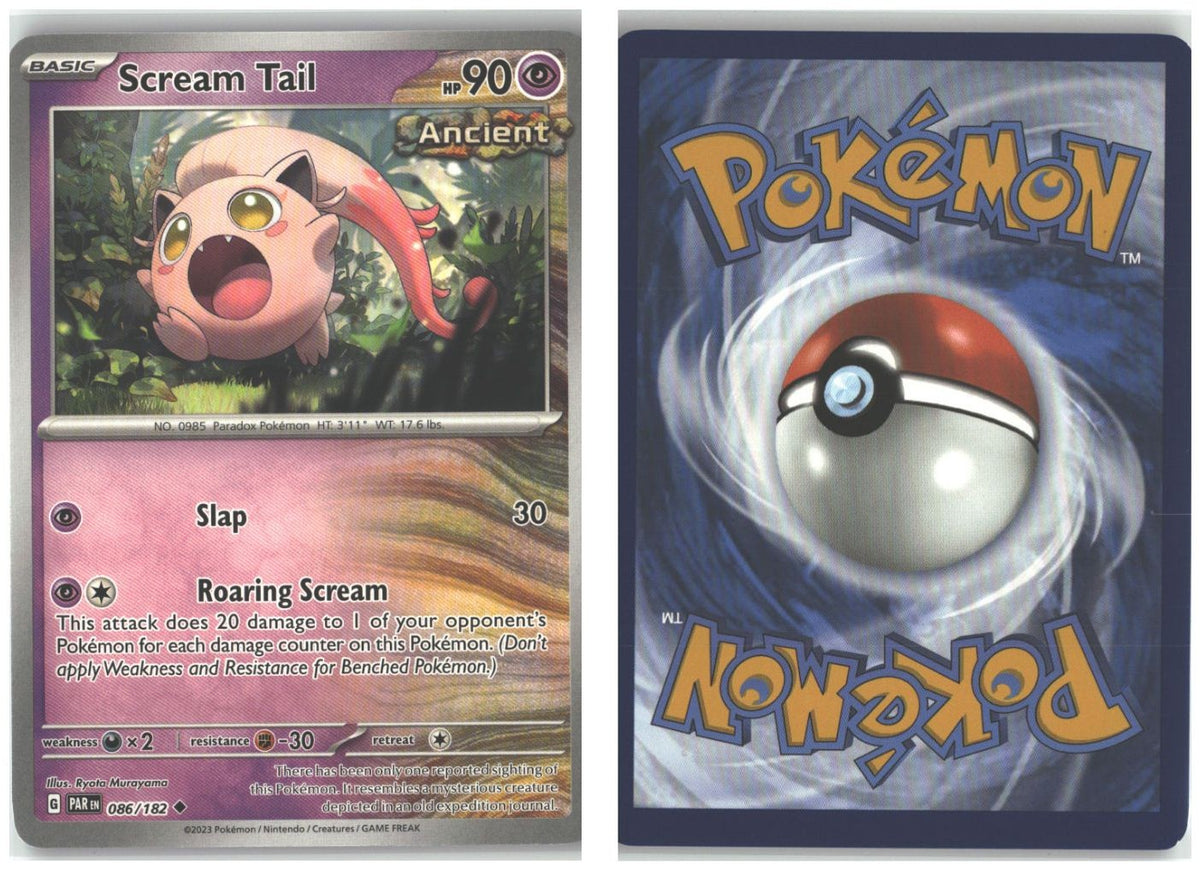 Front + Back scan