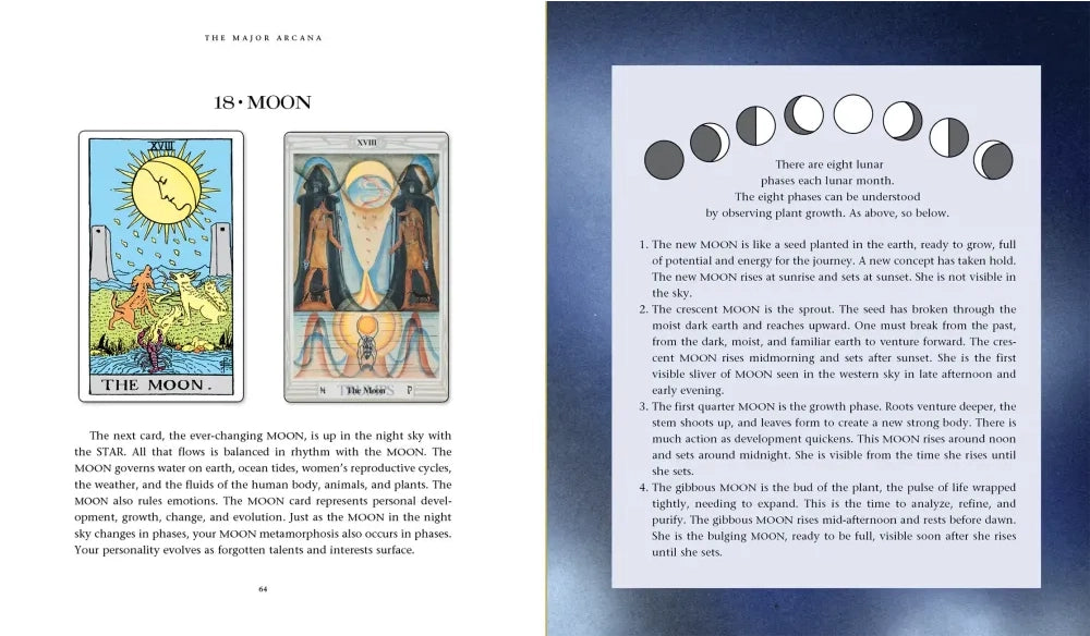 Introduction To Tarot By Susan Levitt