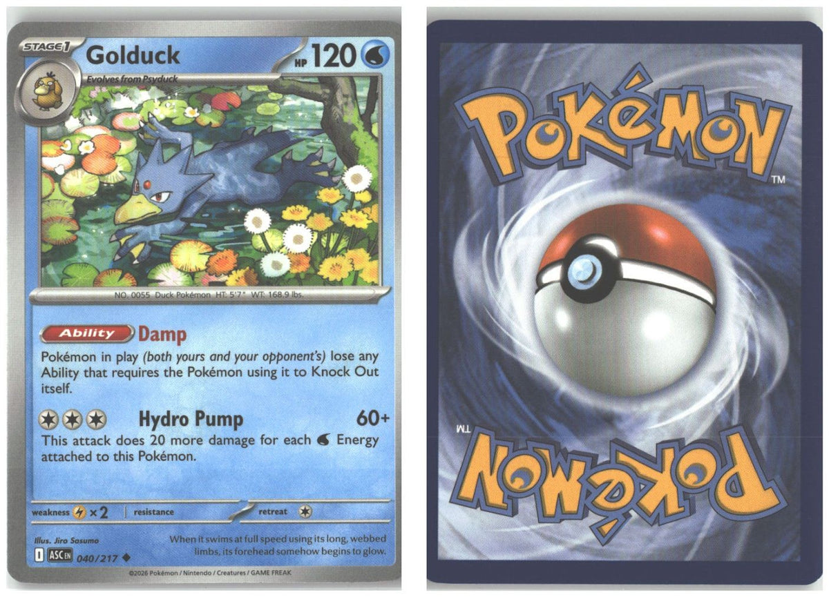 Front + Back scan