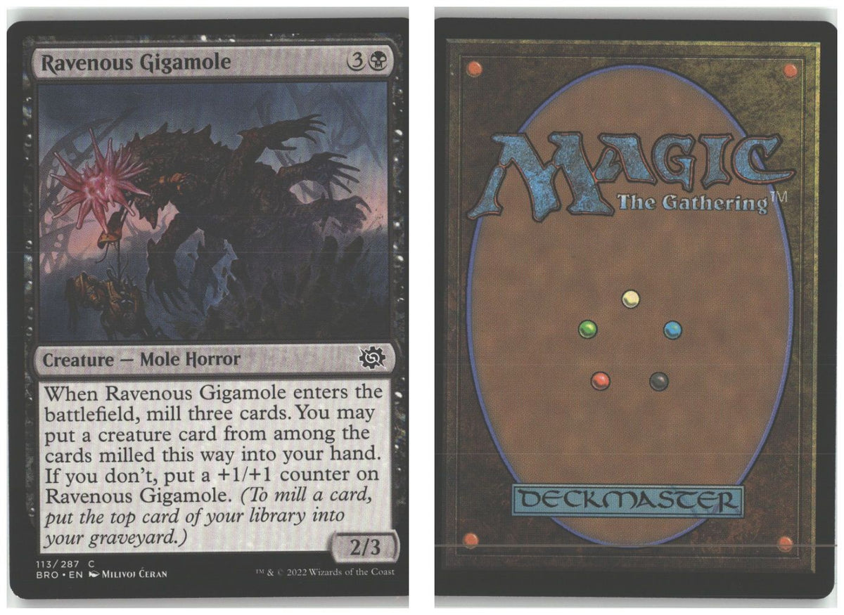 Front + Back scan