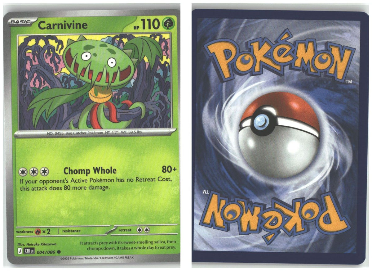 Front + Back scan