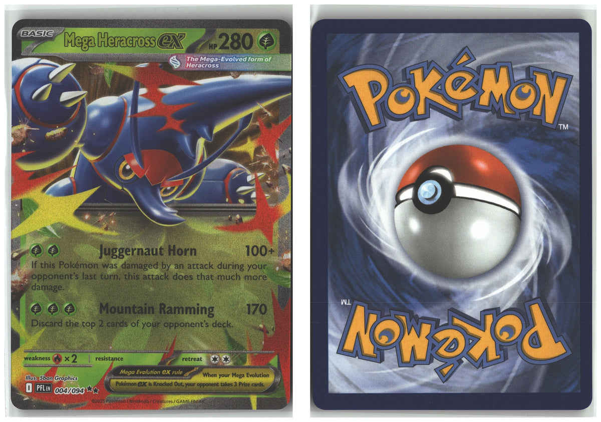 Front + Back scan