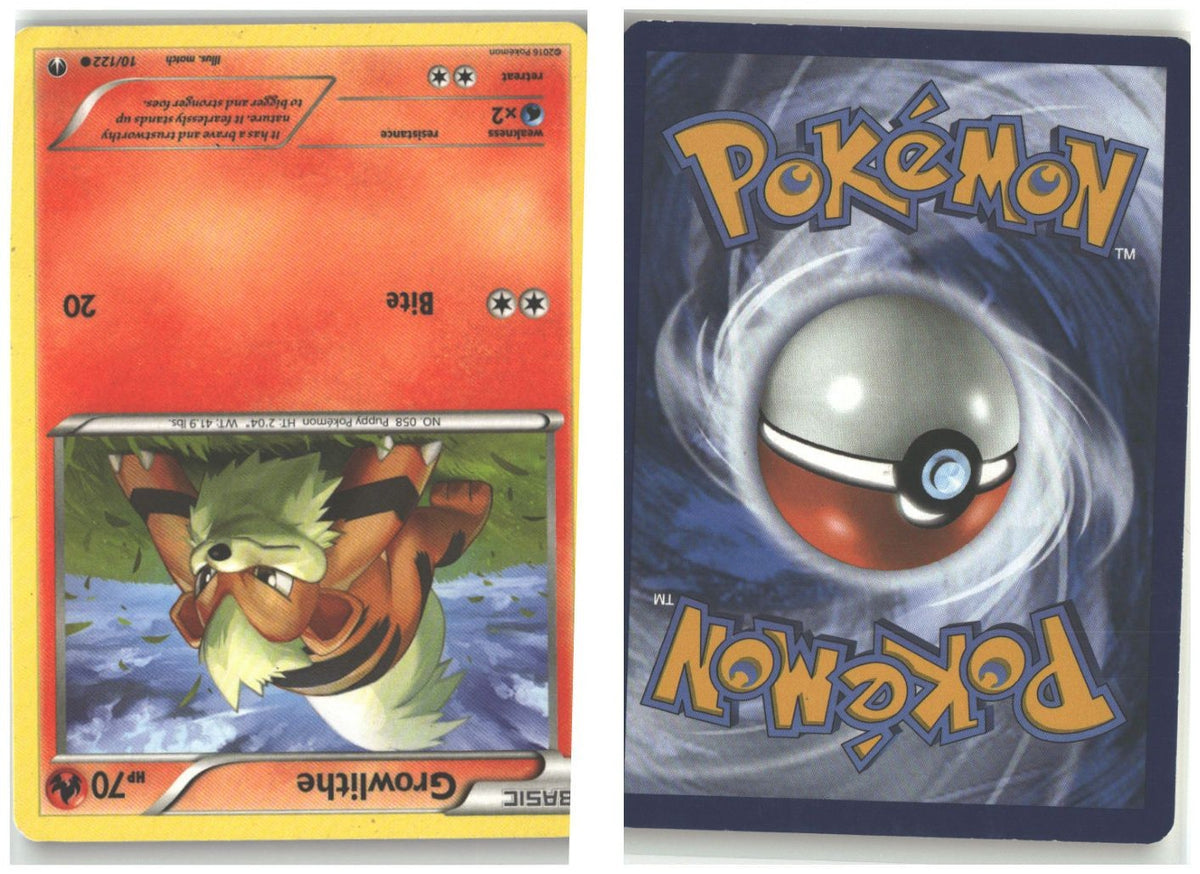Front + Back scan