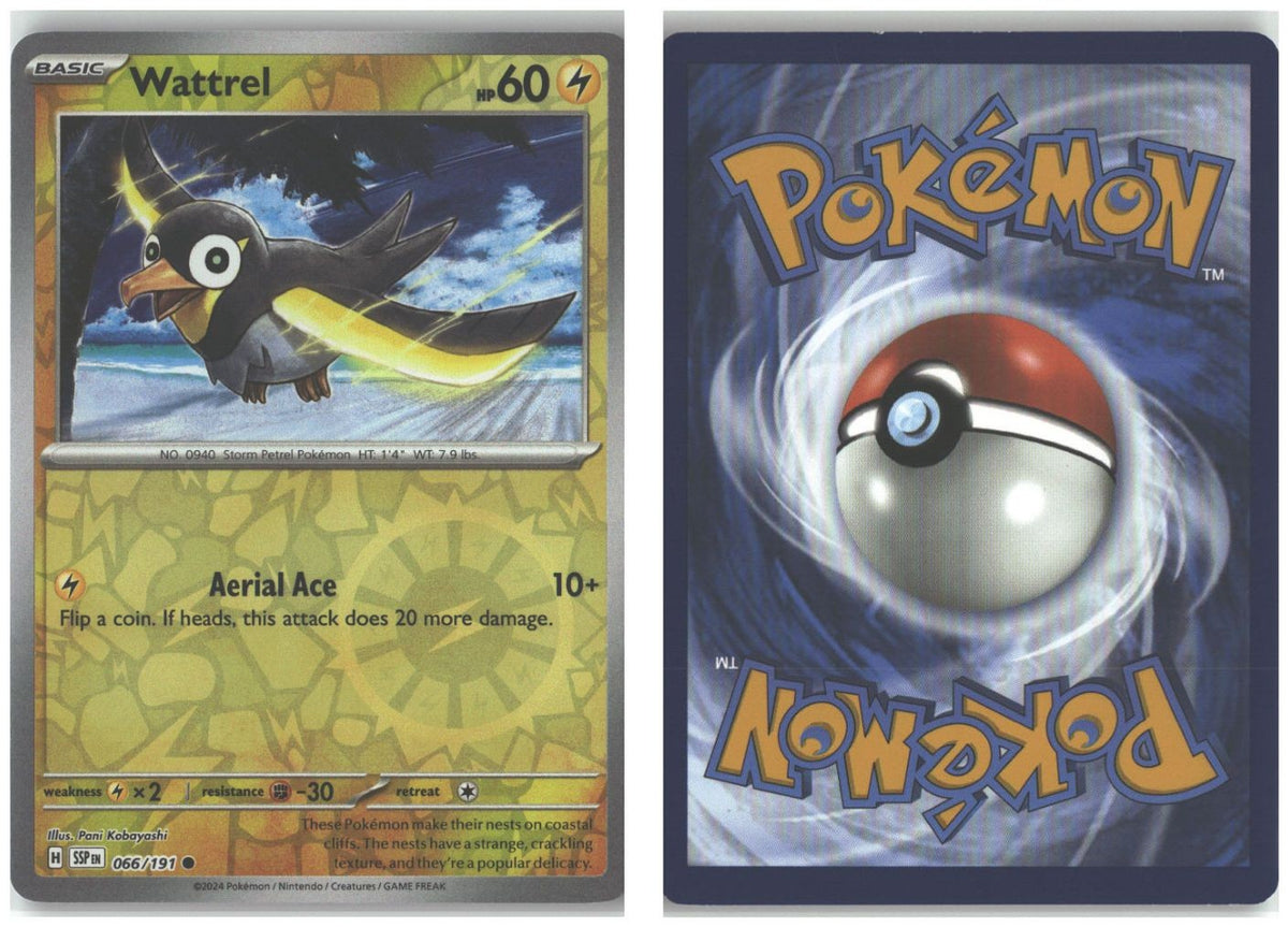 Front + Back scan