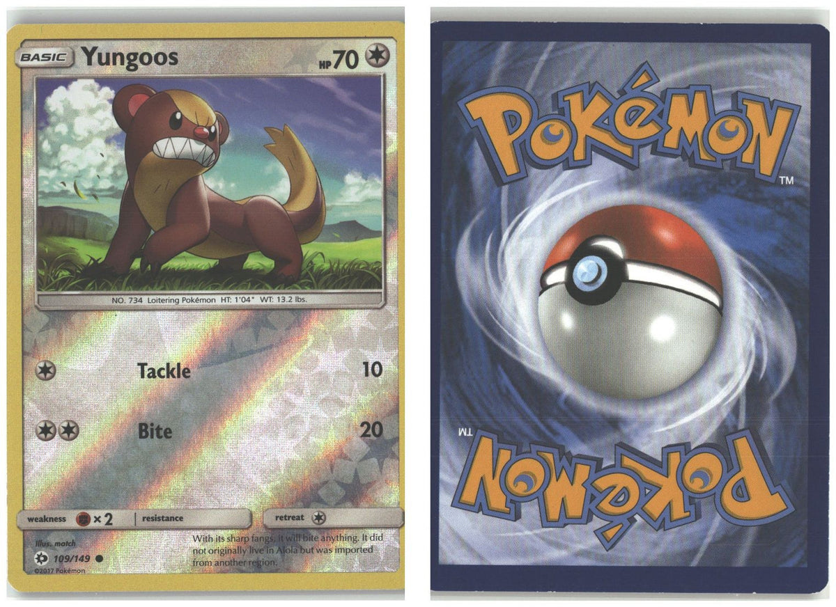Front + Back scan