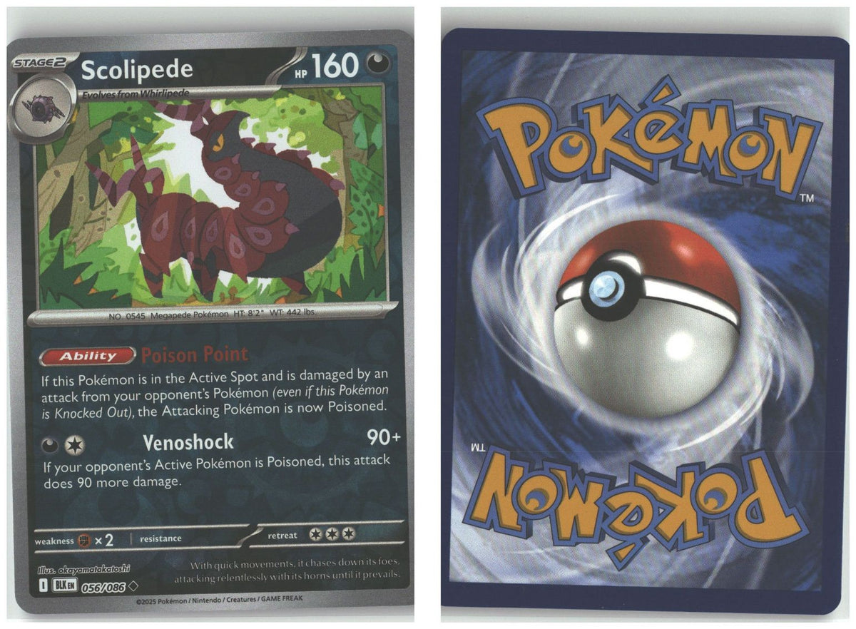 Front + Back scan