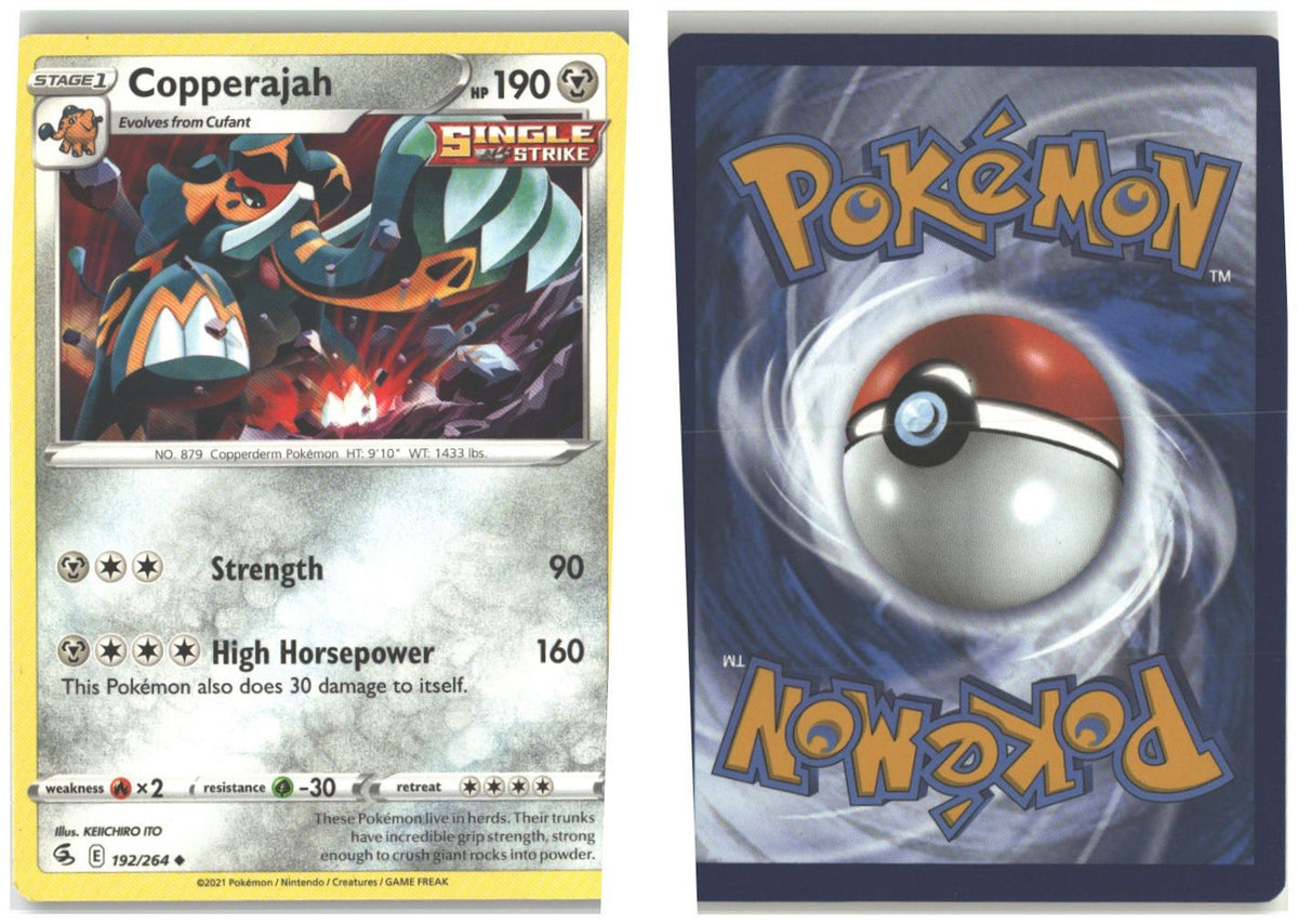 Front + Back scan