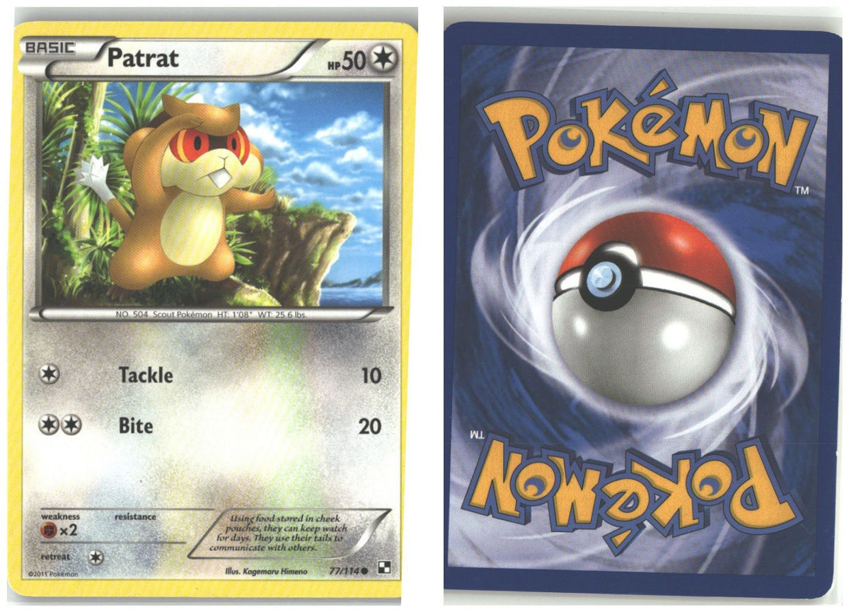 Front + Back scan