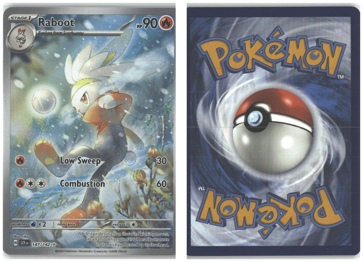 Front + Back scan