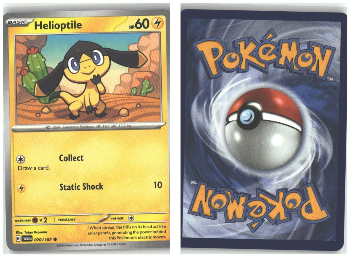 Front + Back scan