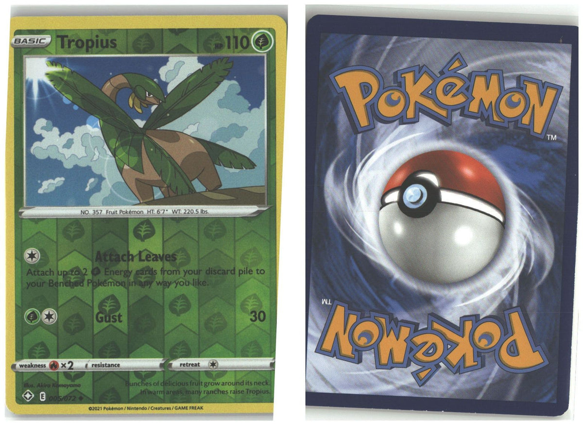 Front + Back scan