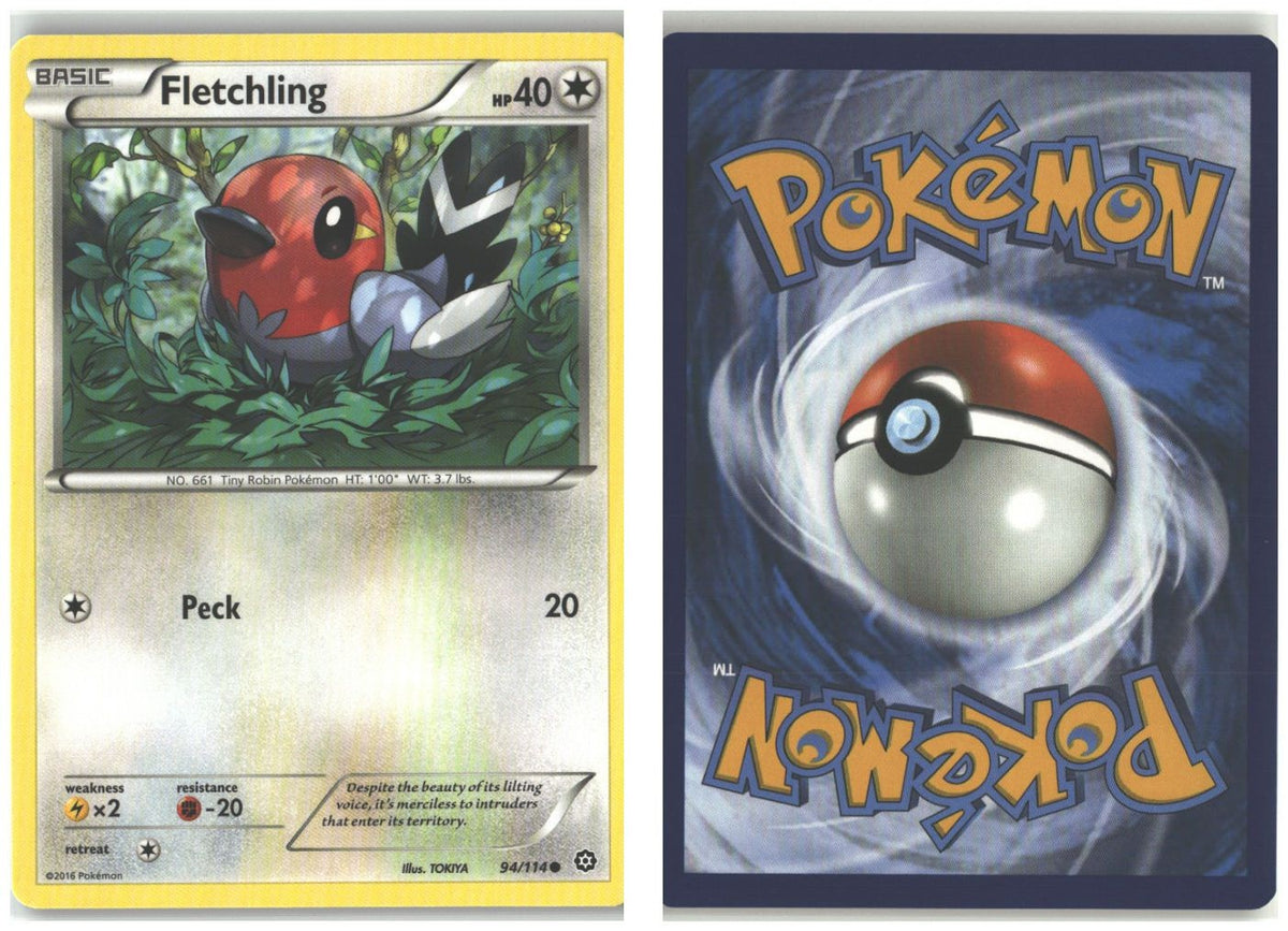 Front + Back scan
