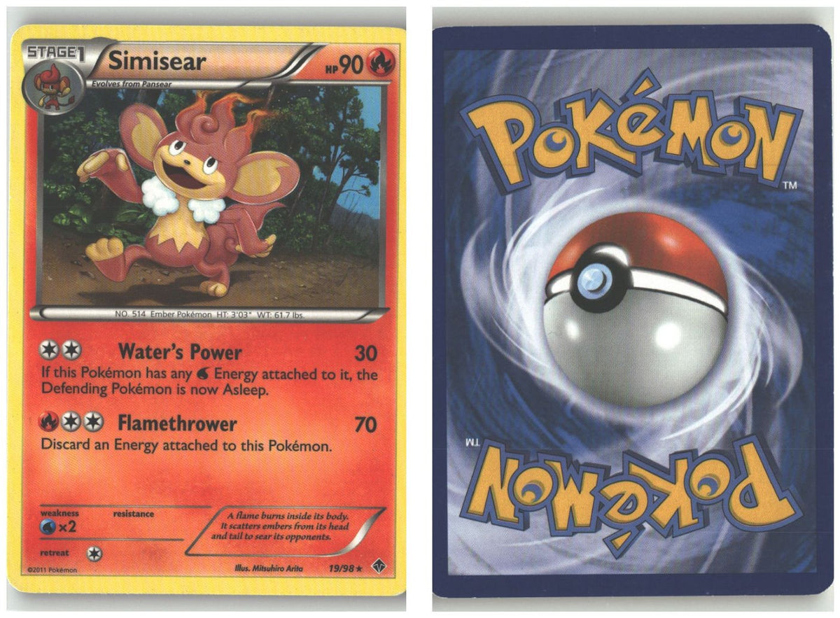 Front + Back scan