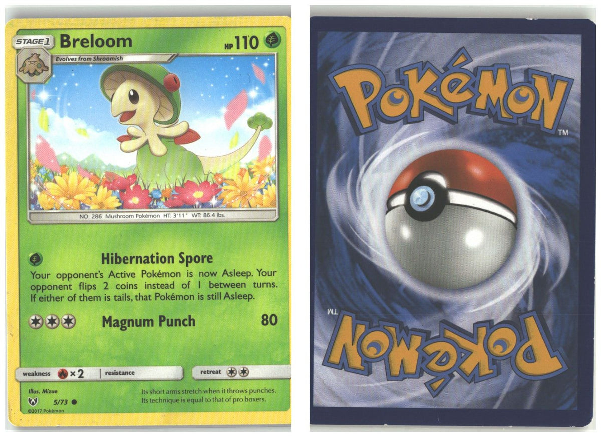Front + Back scan