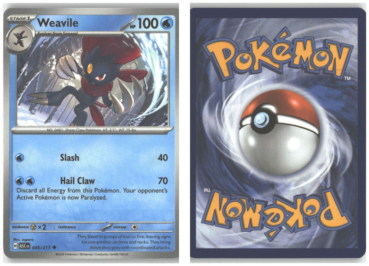 Front + Back scan