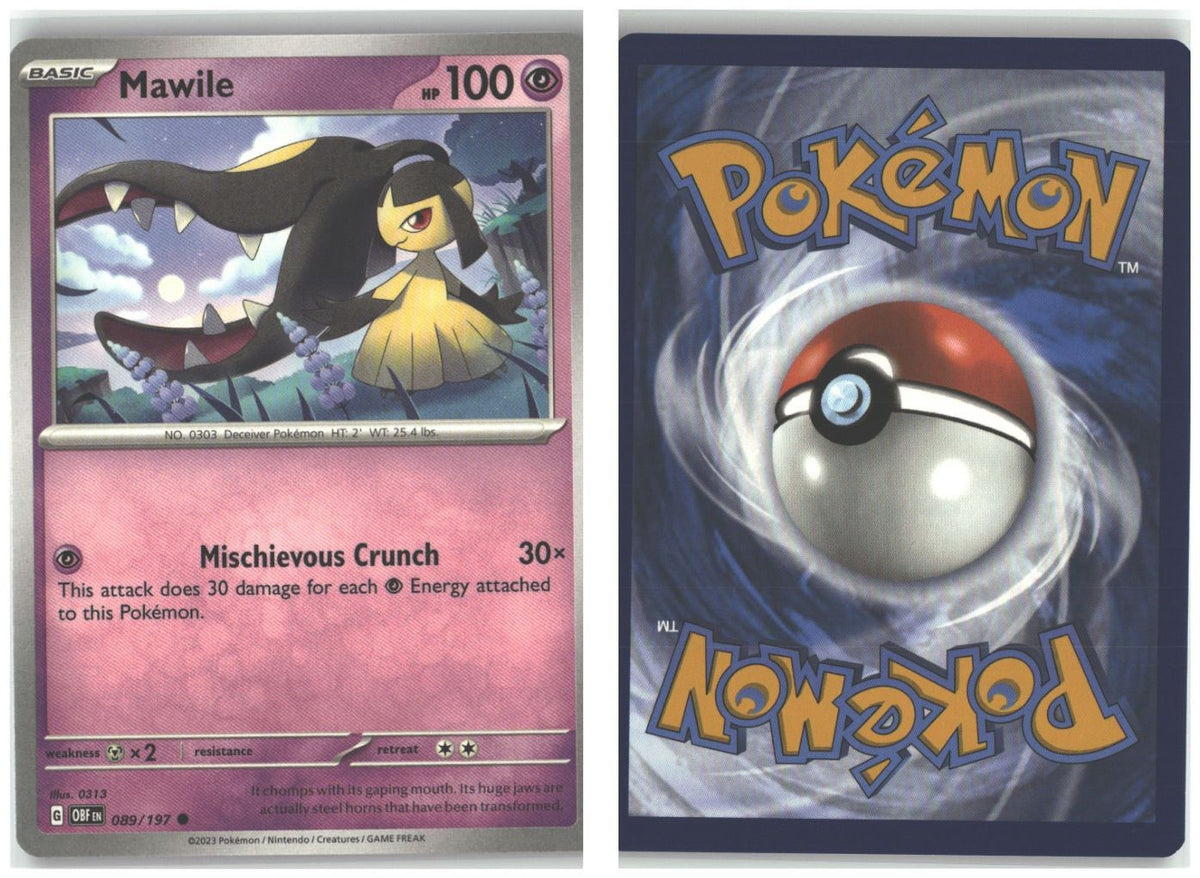 Front + Back scan