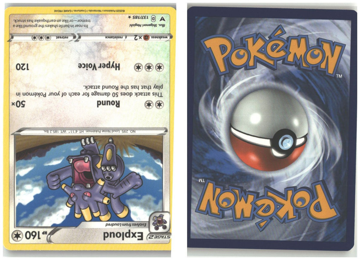 Front + Back scan