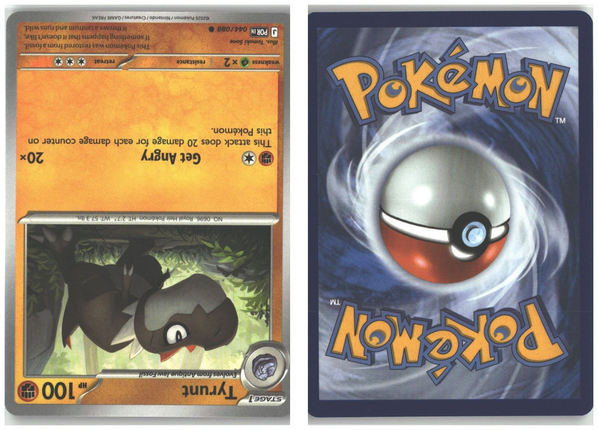 Front + Back scan