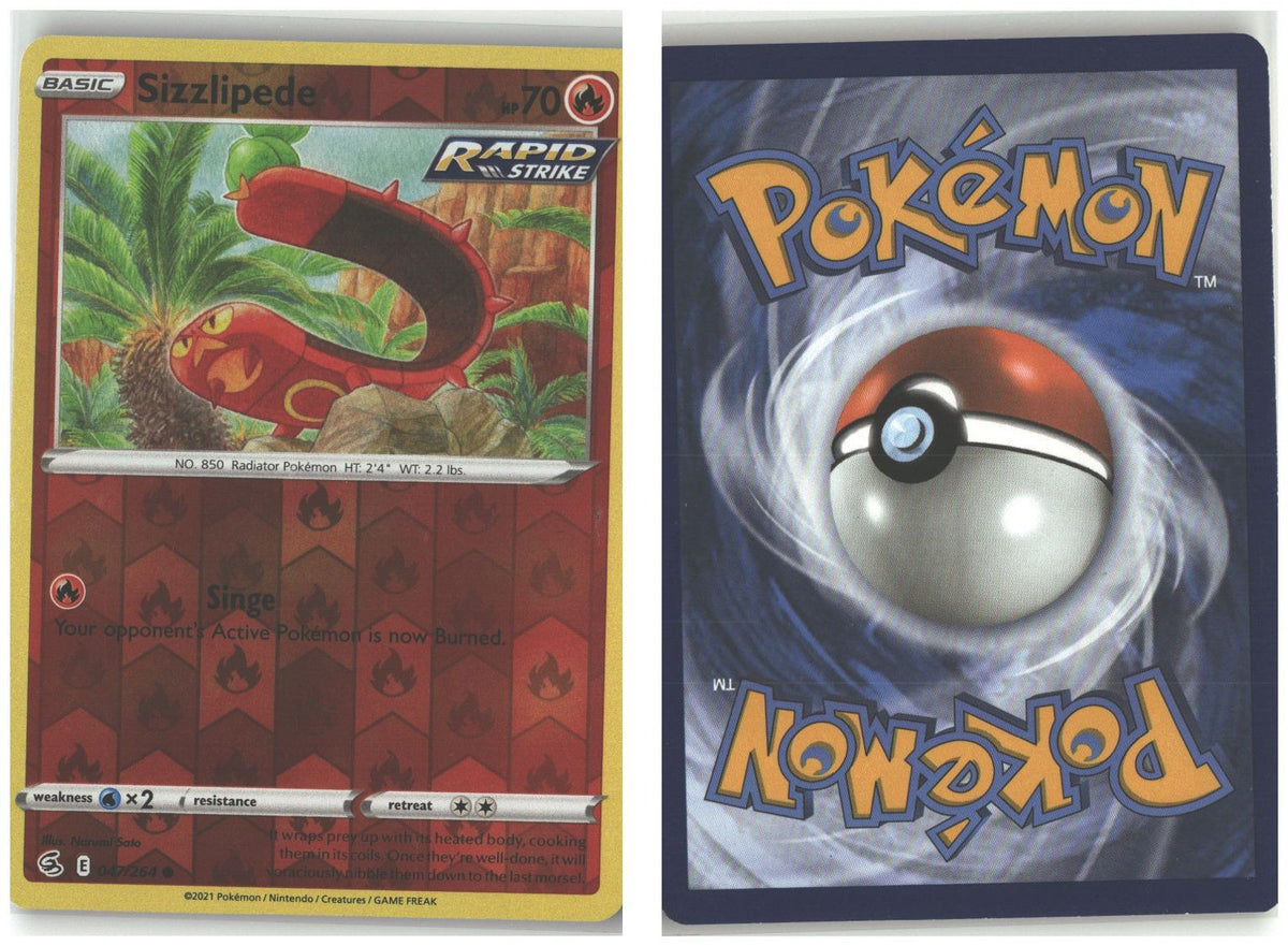 Front + Back scan