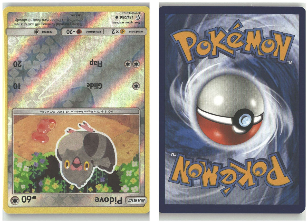 Front + Back scan