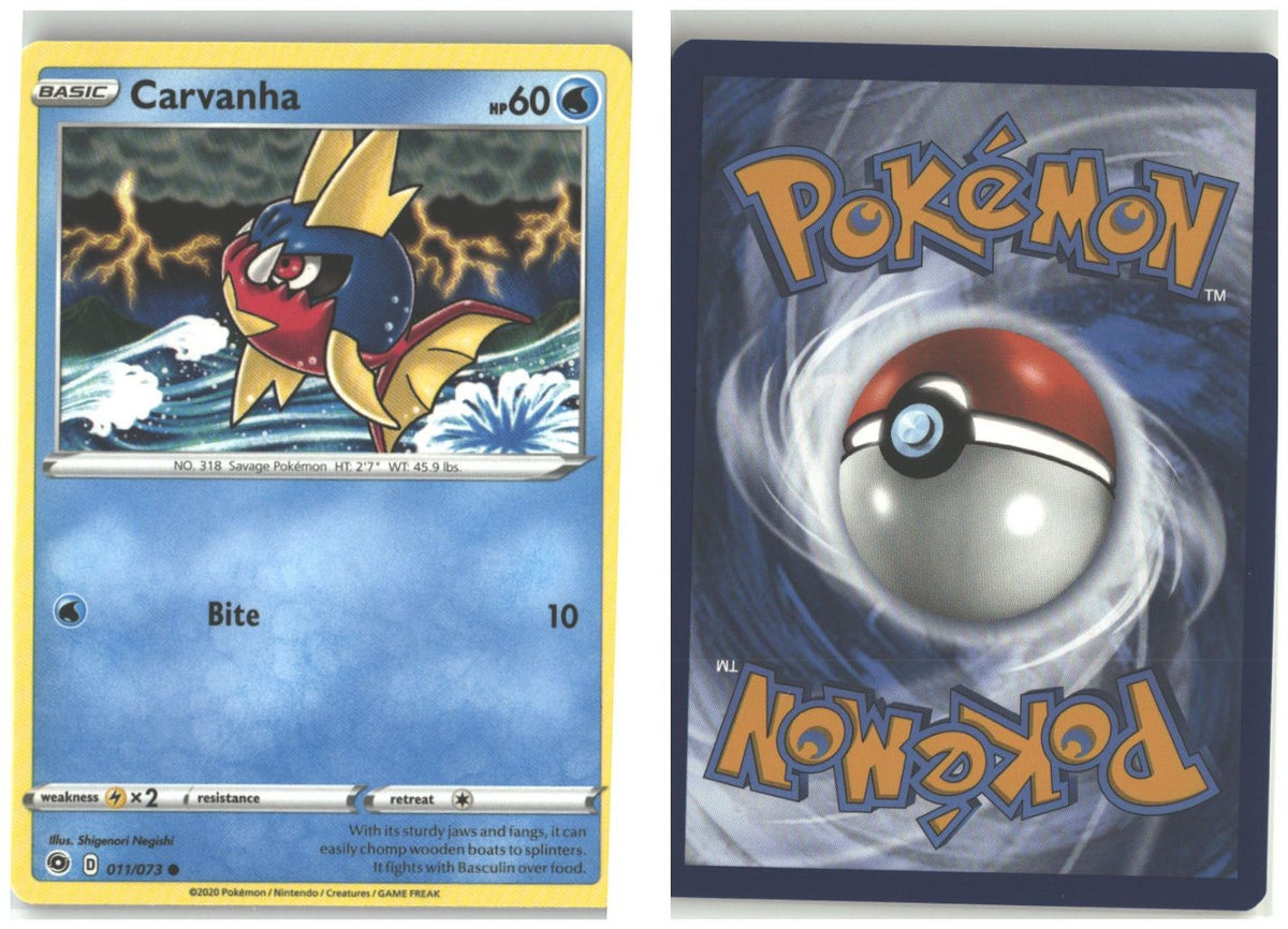 Front + Back scan