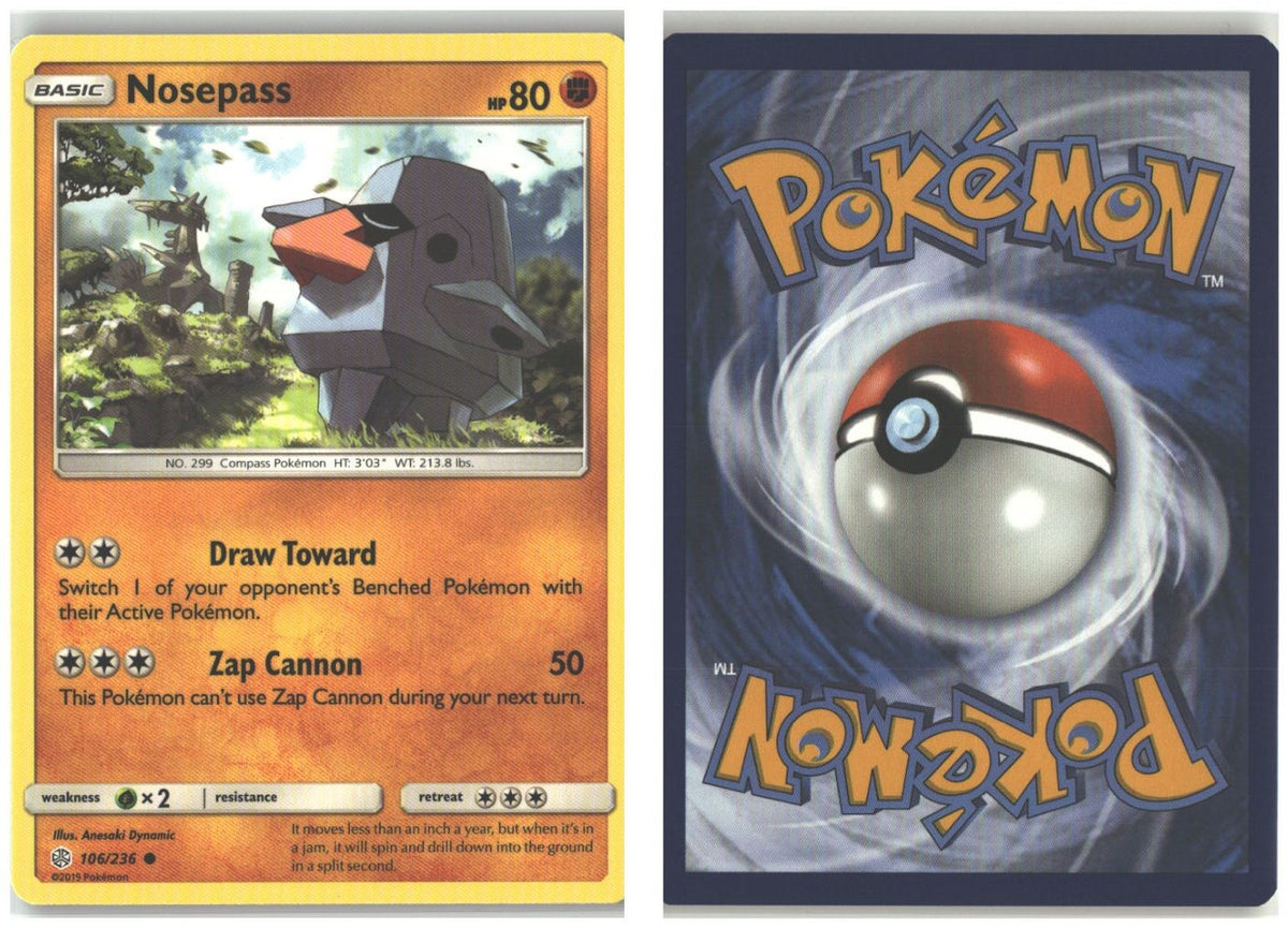 Front + Back scan