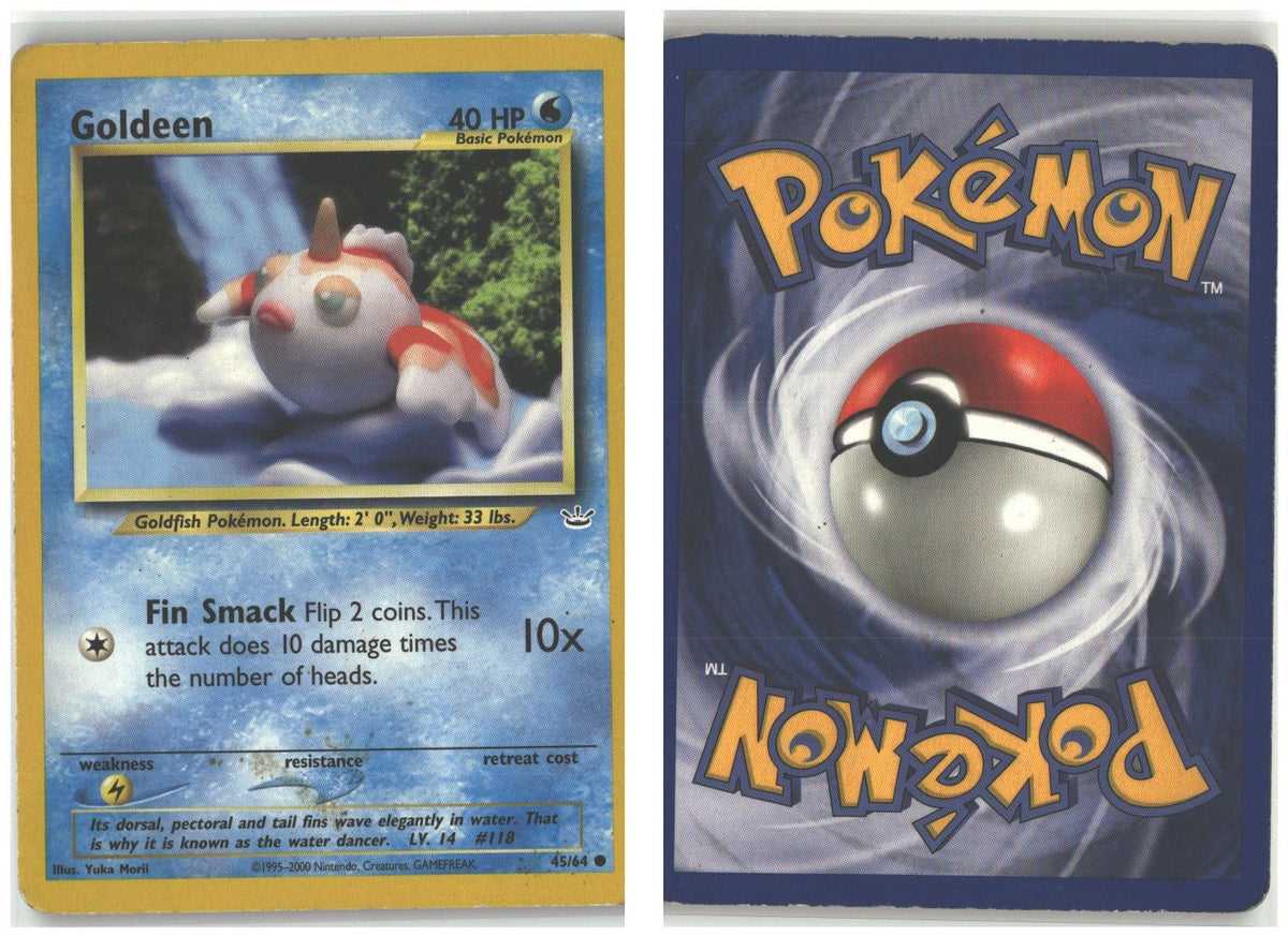 Front + Back scan