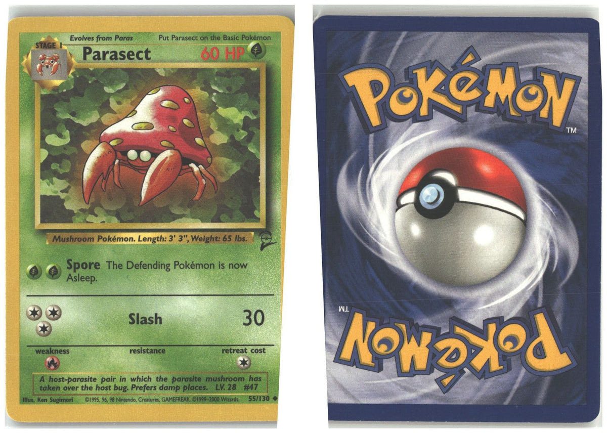 Front + Back scan