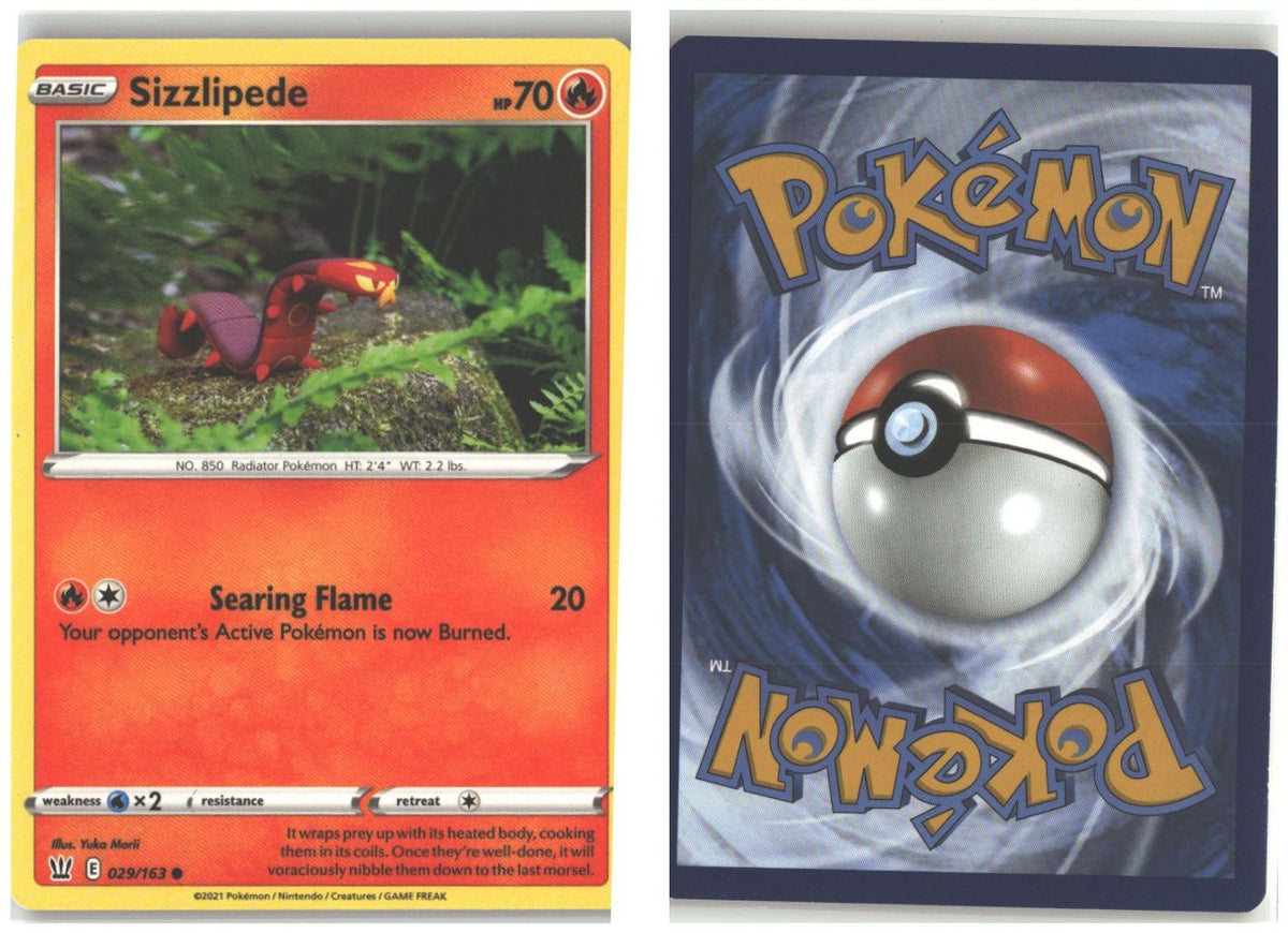 Front + Back scan